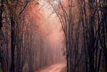 [CBA]赵睿借掩护突中路 单打余嘉豪命中2+1.