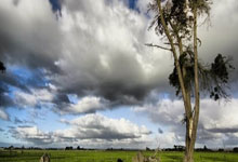 朱婷10分&科内利亚诺0-3不敌诺瓦拉 50连胜遭到终结.