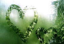 10分11助攻 赵继伟超越郭艾伦加冕本土助攻王.