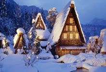 “金花”已然绽放 郑钦文的2024：全面突破 未来可期央视新闻客户端.