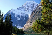 爱游戏：布里斯班狮吼队抵新 将与本地全星队较量.